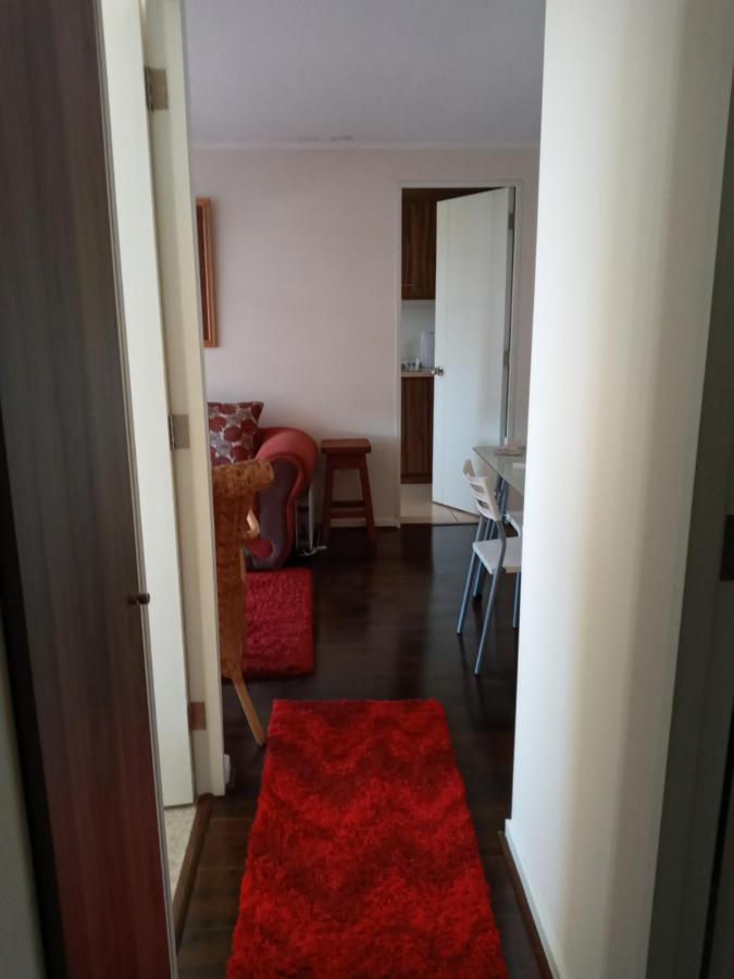 Plaza Brintrup Apartment Puerto Varas Exterior foto